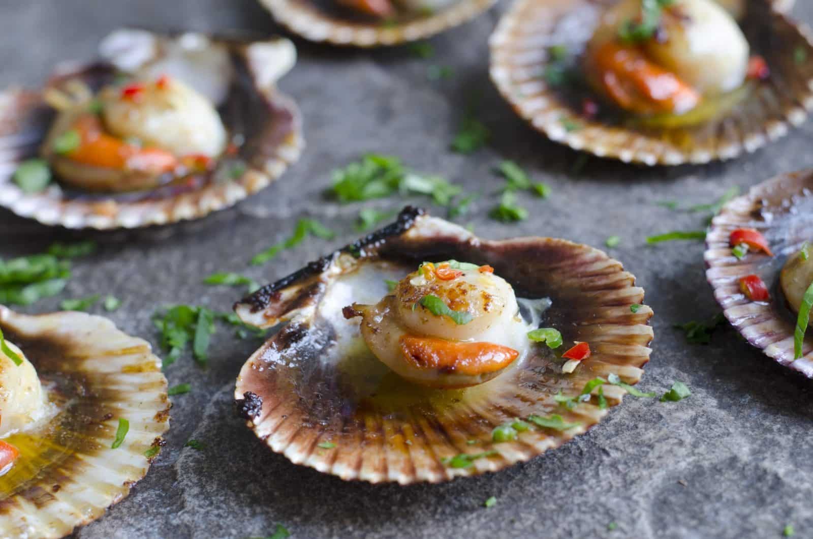 Coquilles Saint-Jacques d'Erquy poêlées dans leur coquille
